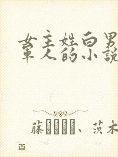 女主姓白男主是军人的小说