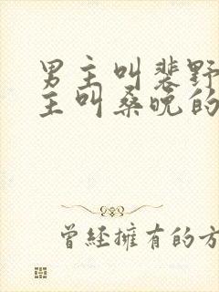 男主叫裴野,女主叫桑晚的短剧