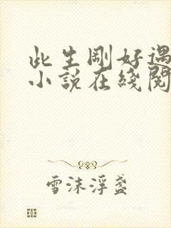 此生刚好遇见你小说在线阅读