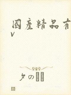 国产精品有码av