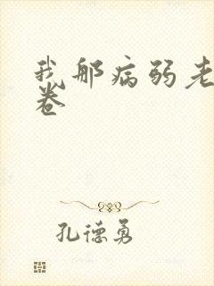 我那病弱老婆花卷封面