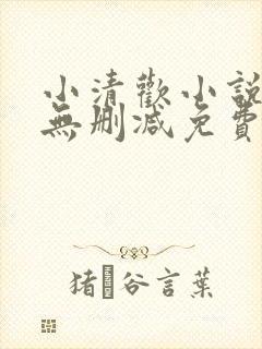 小清欢小说全文无删减免费阅读