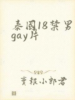 泰国18禁男男gay片封面