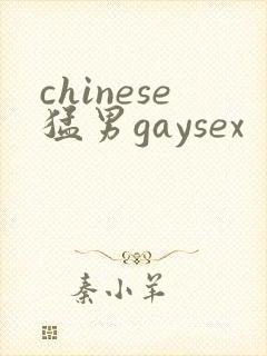 chinese猛男gaysex