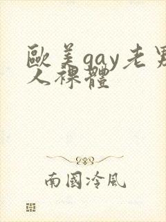 欧美gay老男人裸体封面