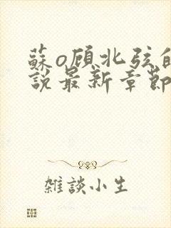 苏o顾北弦的小说最新章节封面