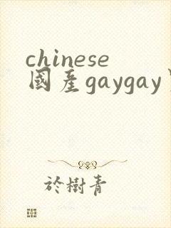chinese国产gaygay男男网站