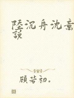 陆沉舟沈意欢小说封面