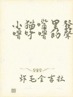 小猫嘴里发出呼噜呼噜的声音封面