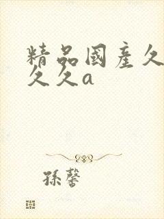 精品国产久久久久久a