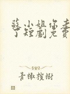 苏小姐你老公掉了短剧免费观看