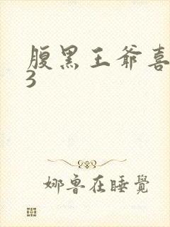 腹黑王爷喜当爹3