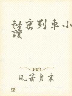 秘密列车小说阅读