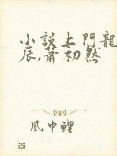 小说上门龙婿叶辰,萧初然