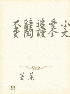 不辞追爱小说免费阅读全文最新章节