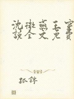 沈微燕王穿越小说全文免费阅读