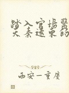 踏入官场医道问天秦远东的小说