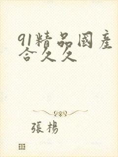 91精品国产综合久久