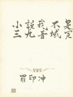 小说我不是戏神三九音域完结版封面