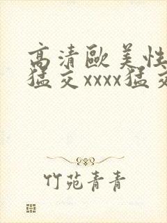 高清欧美性黑人猛交xxxx猛交