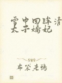 雪中回眸清穿之太子娇妃