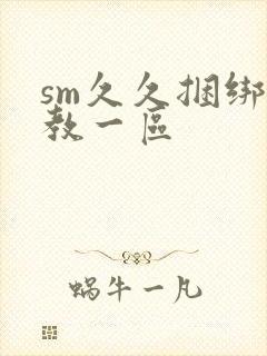 sm久久捆绑调教一区封面