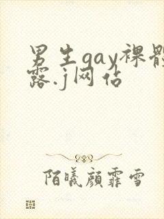 男生gay裸体露.j网站