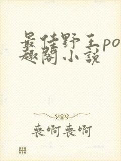 最佳野王po笔趣阁小说