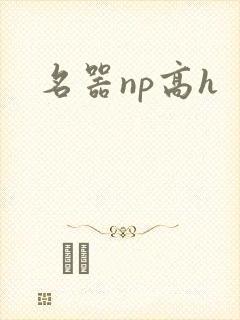 名器np高h