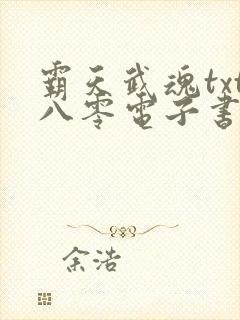 霸天武魂txt八零电子书