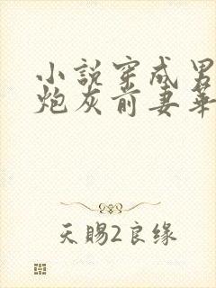 小说穿成男主的炮灰前妻华阙阙