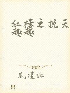 红楼之挽天倾笔趣趣封面