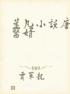 叶凡小说唐若雪医婿封面