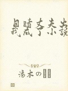 目睹丈夫出轨后我成了小说笔趣阁