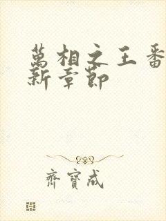 万相之王番外最新章节