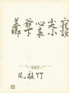 姜爷心尖宠她从乡下来小说听书