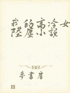 我的高冷女总裁陆尘小说封面