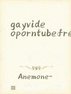 gayvideoporntubefree