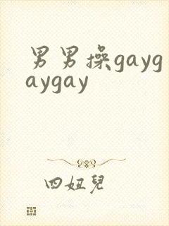 男男操gaygaygay封面