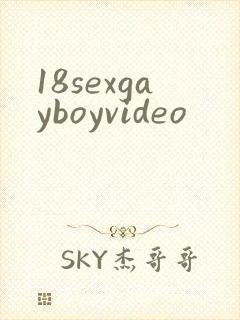 18sexgayboyvideo封面