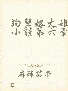 狗儿娘大姐二姐小说第六章免费阅读
