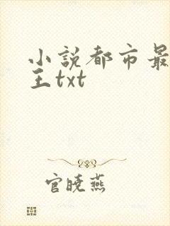 小说都市最强兵王txt