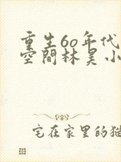 重生6o年代带空间林昊小说