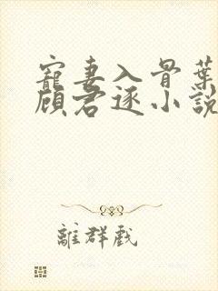 宠妻入骨叶北北顾君逐小说