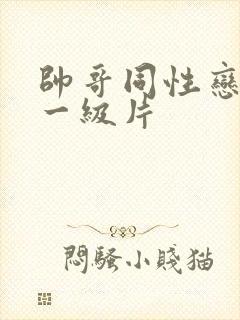 帅哥同性恋黄色一级片