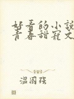 好看的小说校园青春甜宠文封面