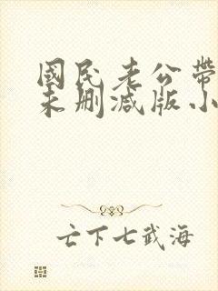 国民老公带回家未删减版小说