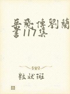 岳飞传刘兰芳评书117集