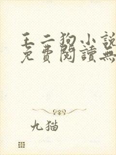王二狗小说全文免费阅读无弹窗