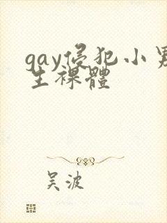 gay侵犯小男生裸体